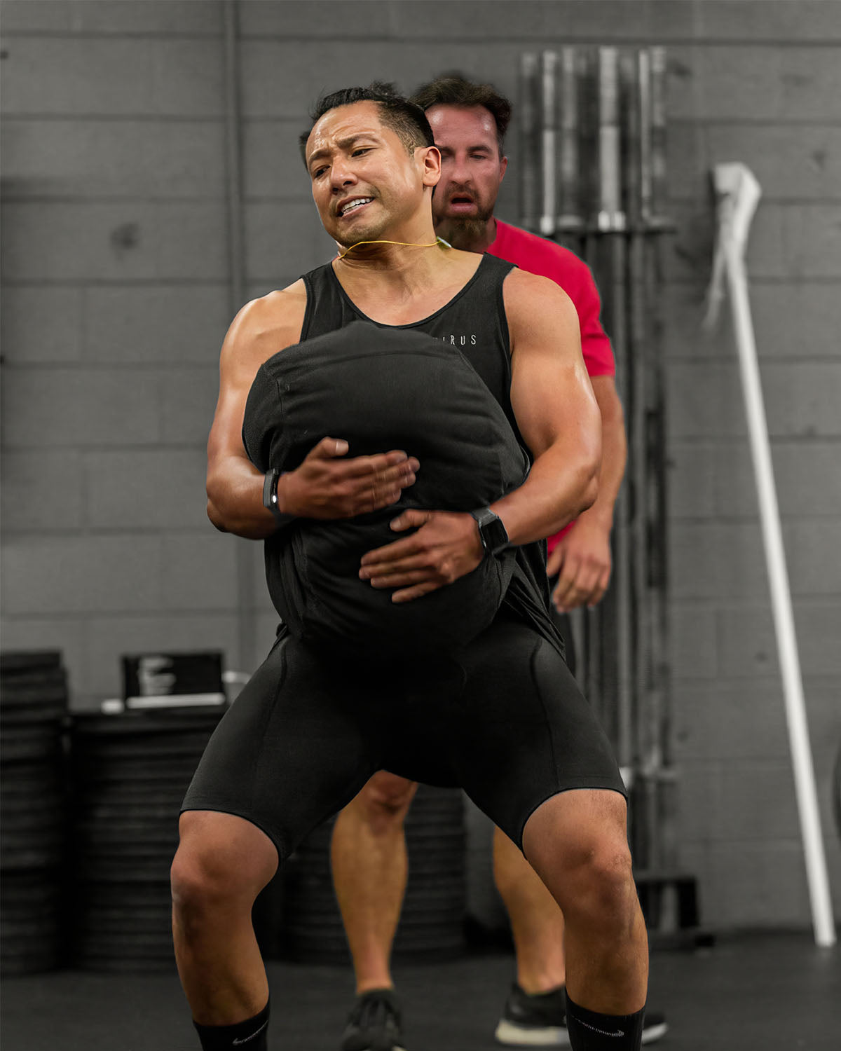 Manifesto Background